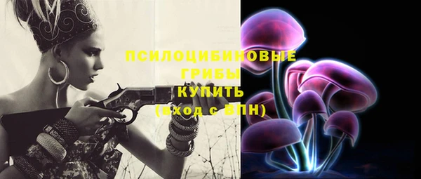 гашик Пролетарск