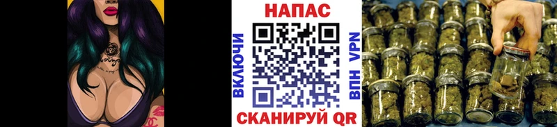 МЕГА как зайти  Алейск  Каннабис семена  где купить наркоту 